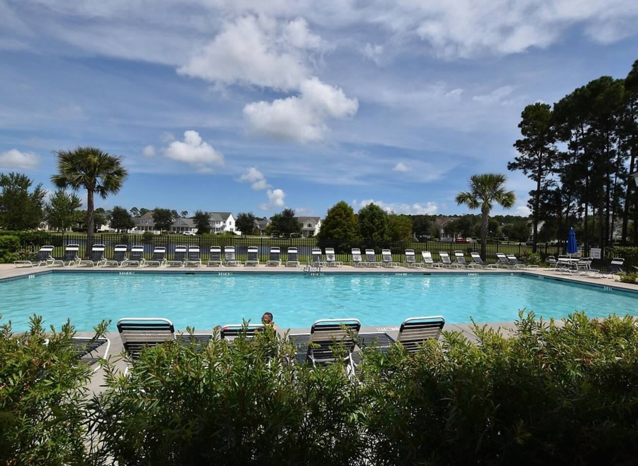 Community pool surrounded by palms