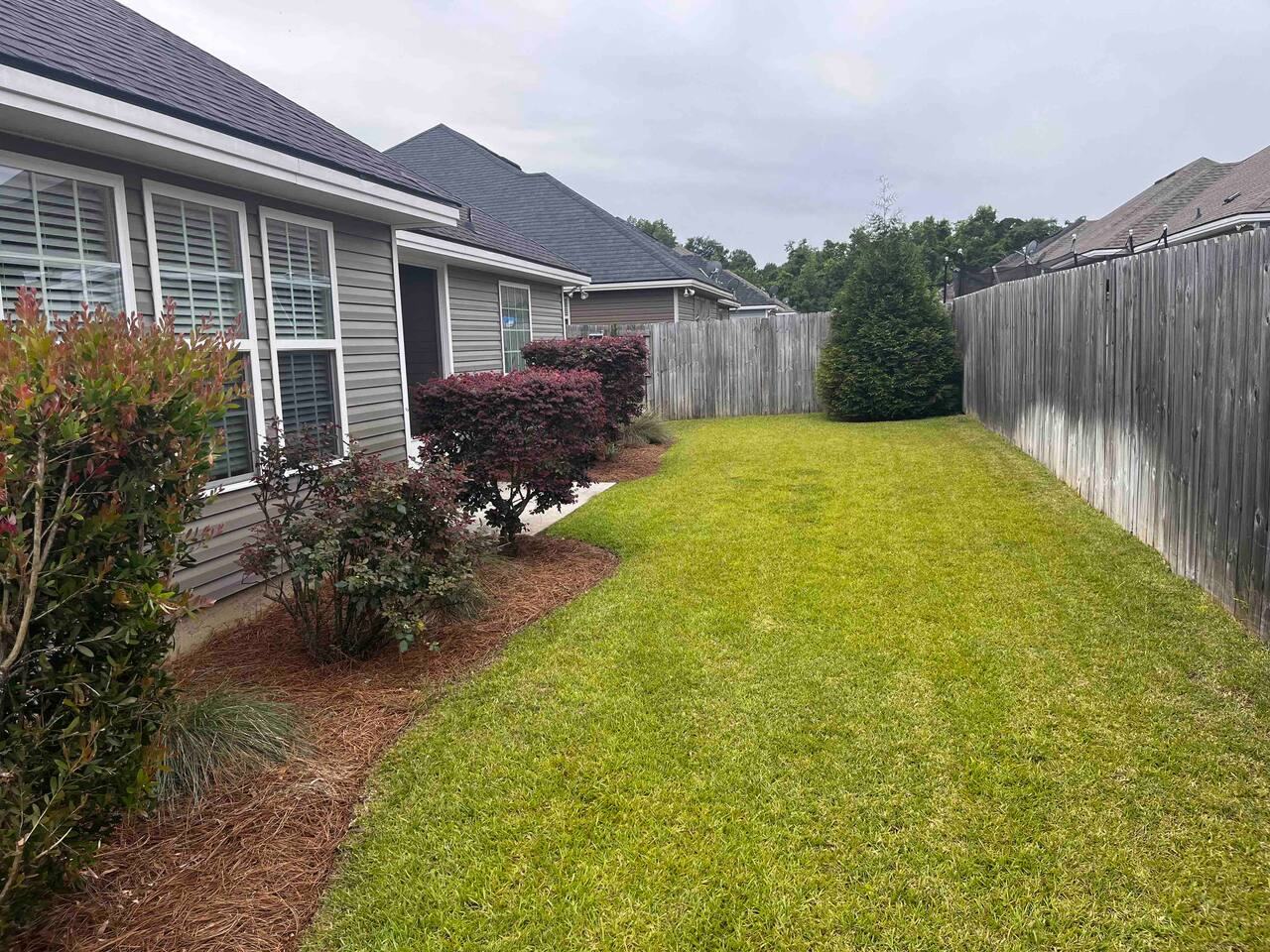 Fenced backyard lawn with landscaped shrubs