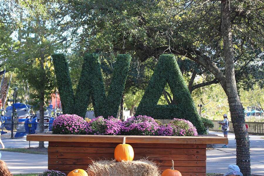 WA topiary letters at the entrance area of Wild Adventures Theme Park