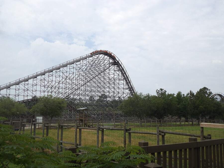 The wooden Cheetah roller coaster cresting its lift hill at Wild Adventures