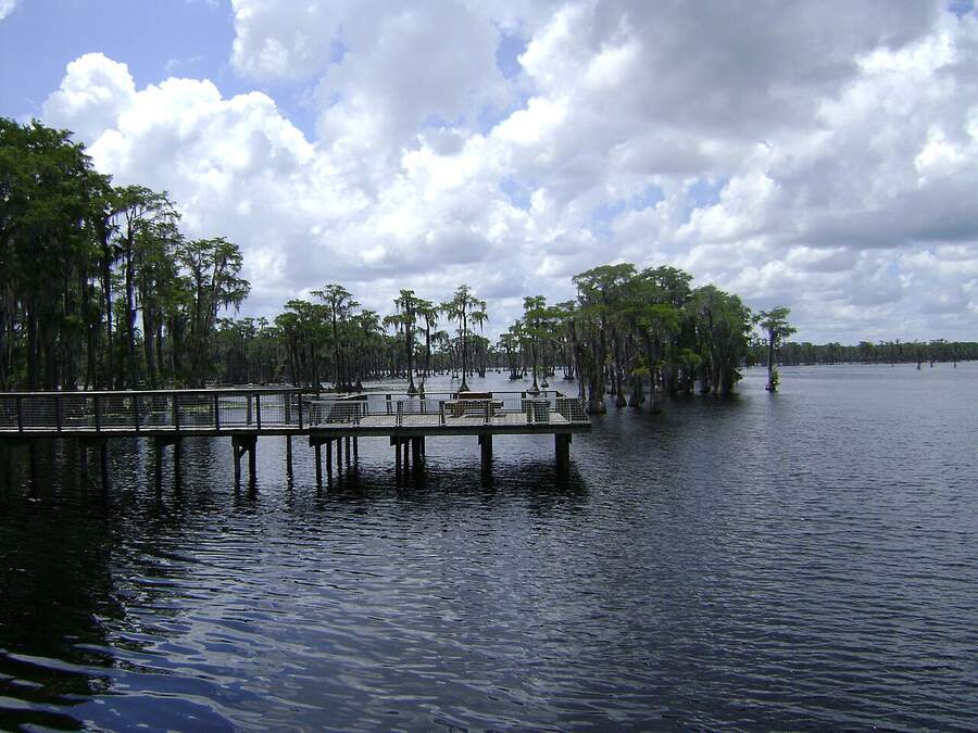 Cypress trees and a wooden pier on the blackwater of Banks Lake