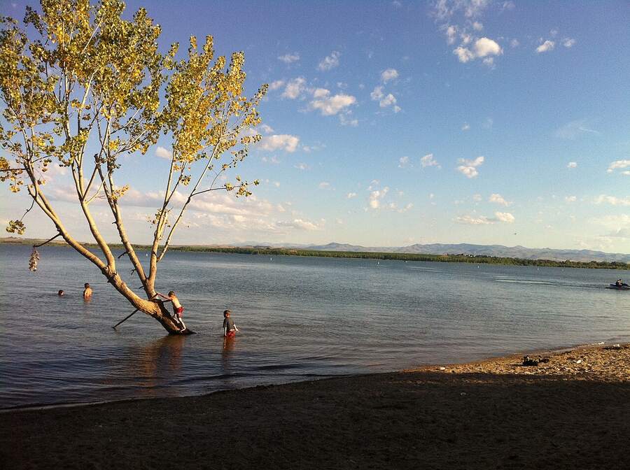 Swimmers wading at the shore of Lake Lowell under a tree