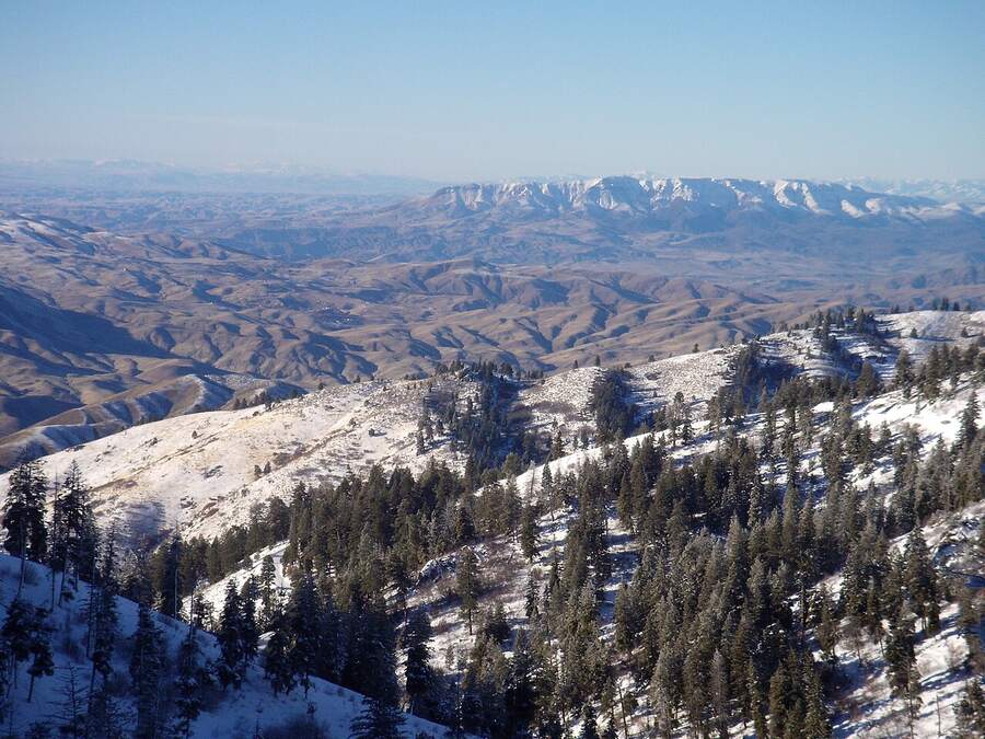 Snowy forested ridges at Bogus Basin above Boise