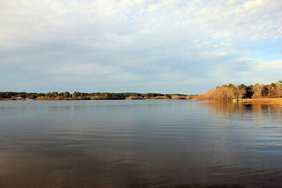 Calm lake at Reed Bingham State Park near Adel, Georgia
