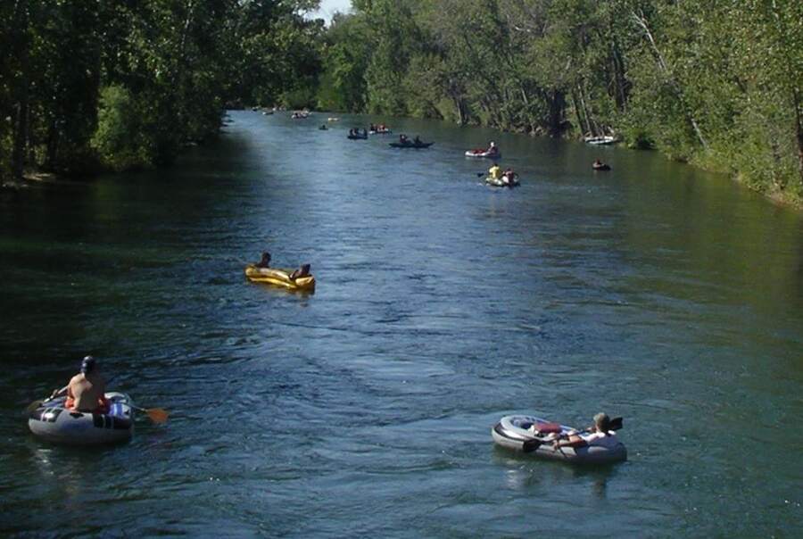 Tubers and rafts floating down the tree-lined Boise River